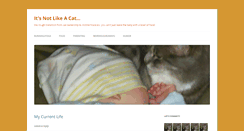 Desktop Screenshot of itsnotlikeacat.com